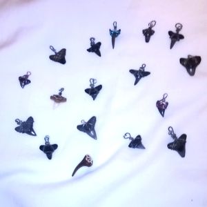 SHARK!!! Teeth ready for necklaces or bracelets!!!!